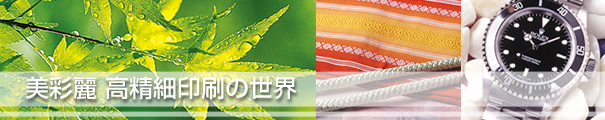 美彩麗 高精細印刷の世界